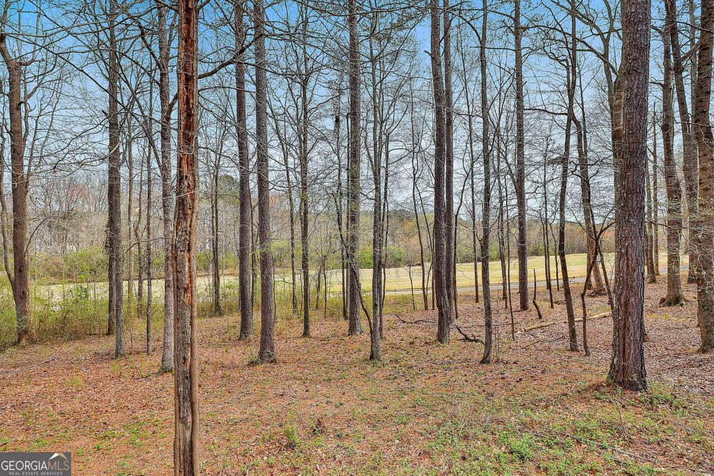 listing image 61