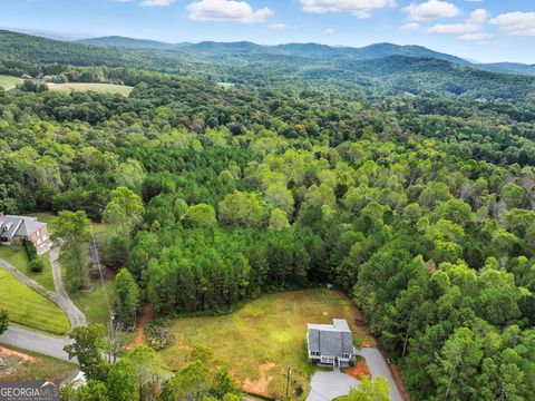 Photo of 716 Old Pleasant Valley Rd, Talking Rock, GA 30175 (MLS # 10622779)