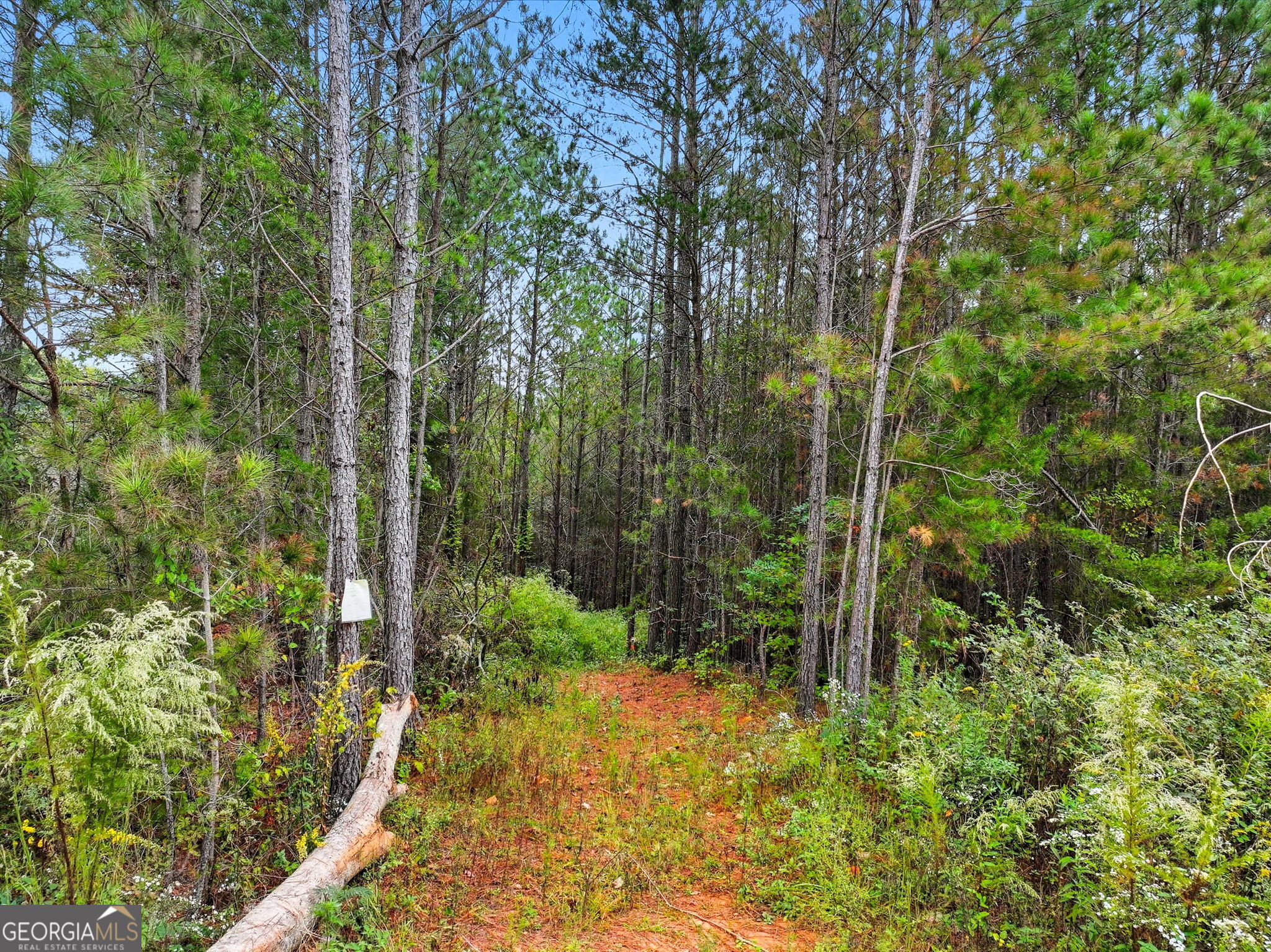 0 Old Pleasant Valley RD
