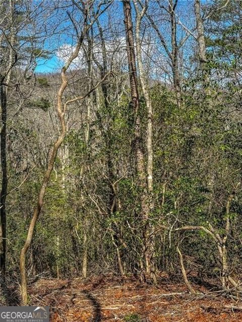 Photo of 0 TS Jarrard Road, Dahlonega, GA 30533 (MLS # 10712047)