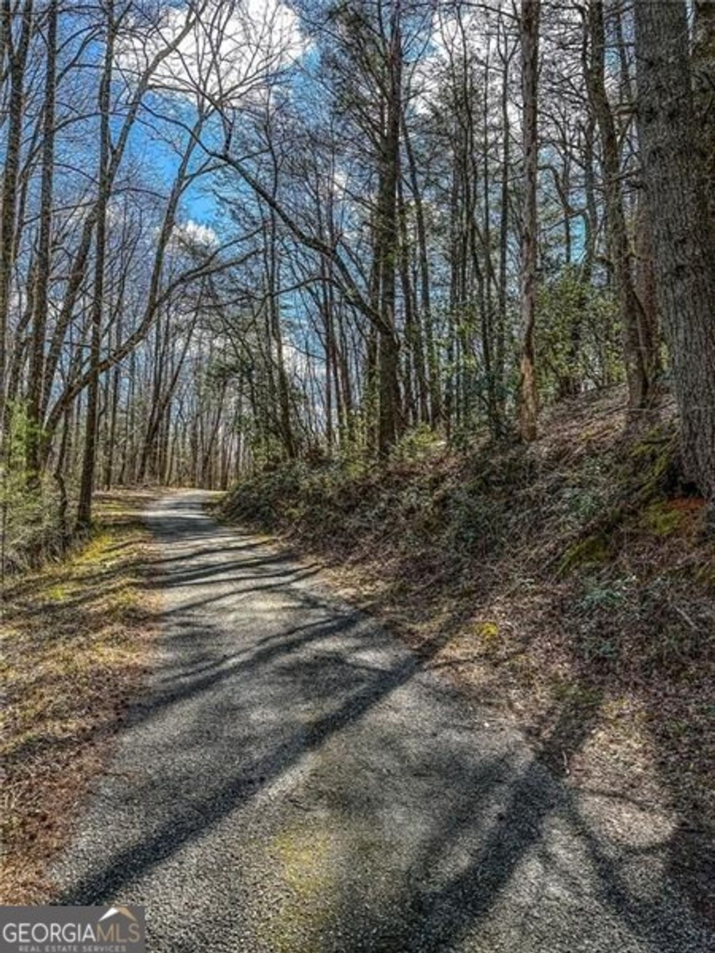 Photo of 00 TS Jarrard Road, Dahlonega, GA 30533 (MLS # 10712047)