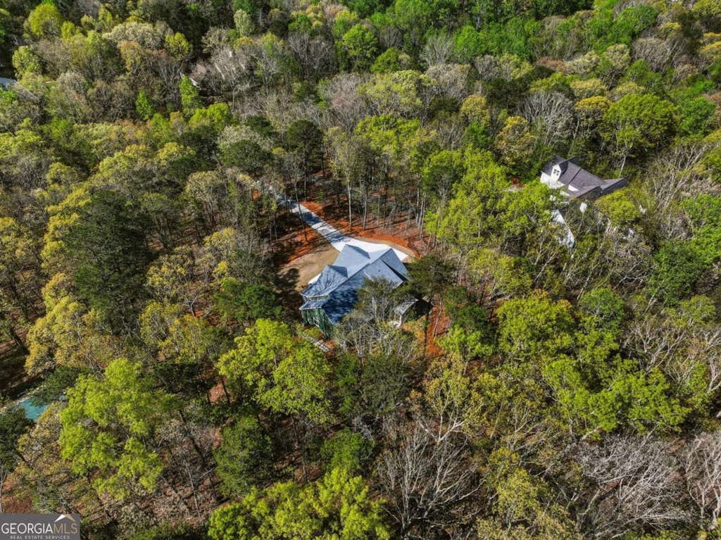 Photo of 320 Fern Park Drive, Dawsonville, GA 30534 (MLS # 10798167)
