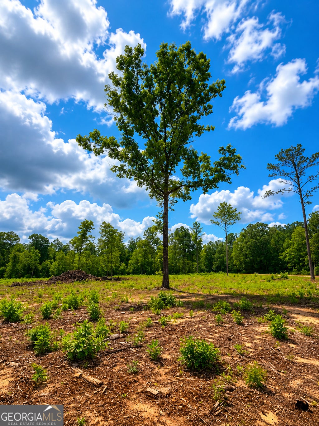 Photo of 0 White Road #1, Pine Mountain, GA 31822 (MLS # 10781593)