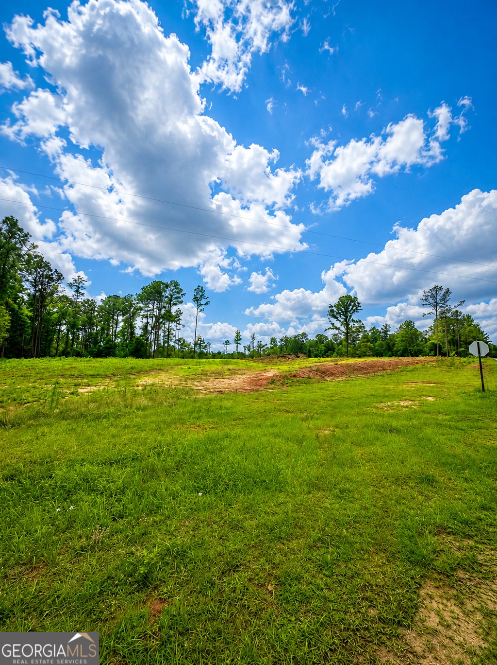Photo of 0 White Road #1, Pine Mountain, GA 31822 (MLS # 10781593)