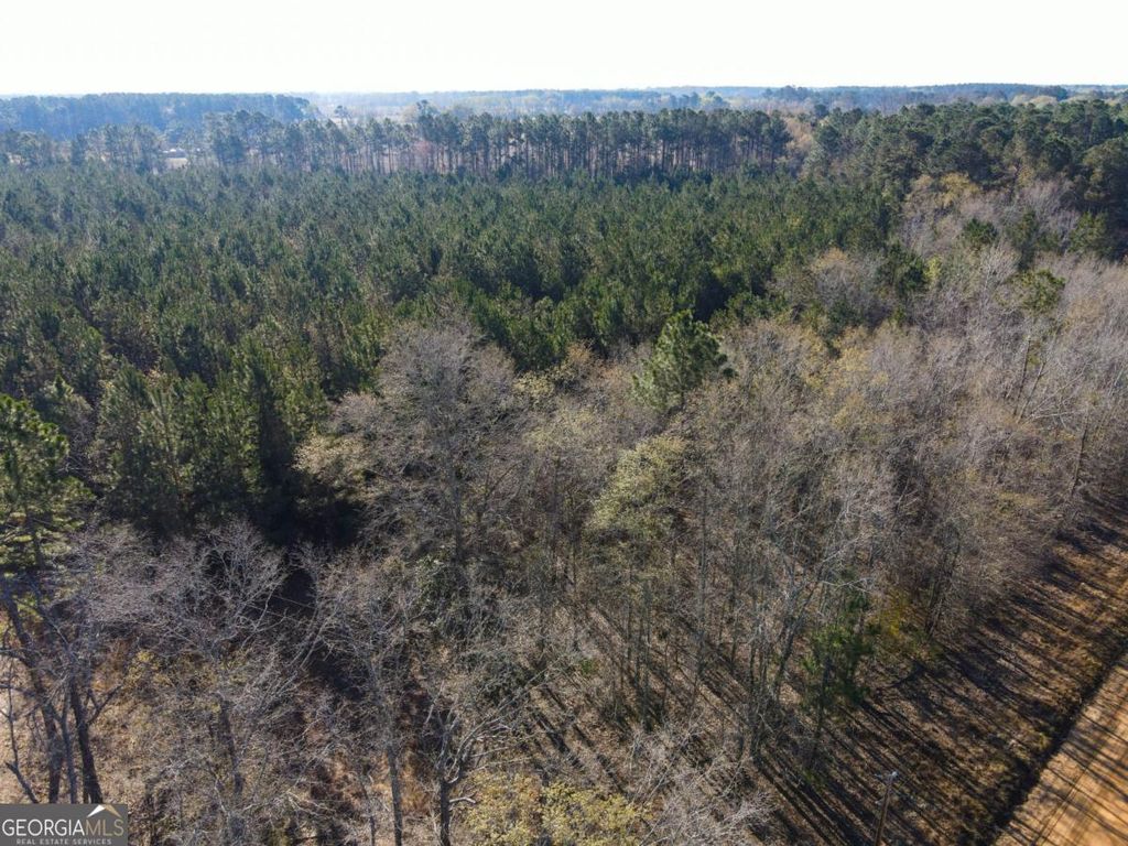 Photo of 0 Clifton Road, Statesboro, GA 30458 (MLS # 10697734)