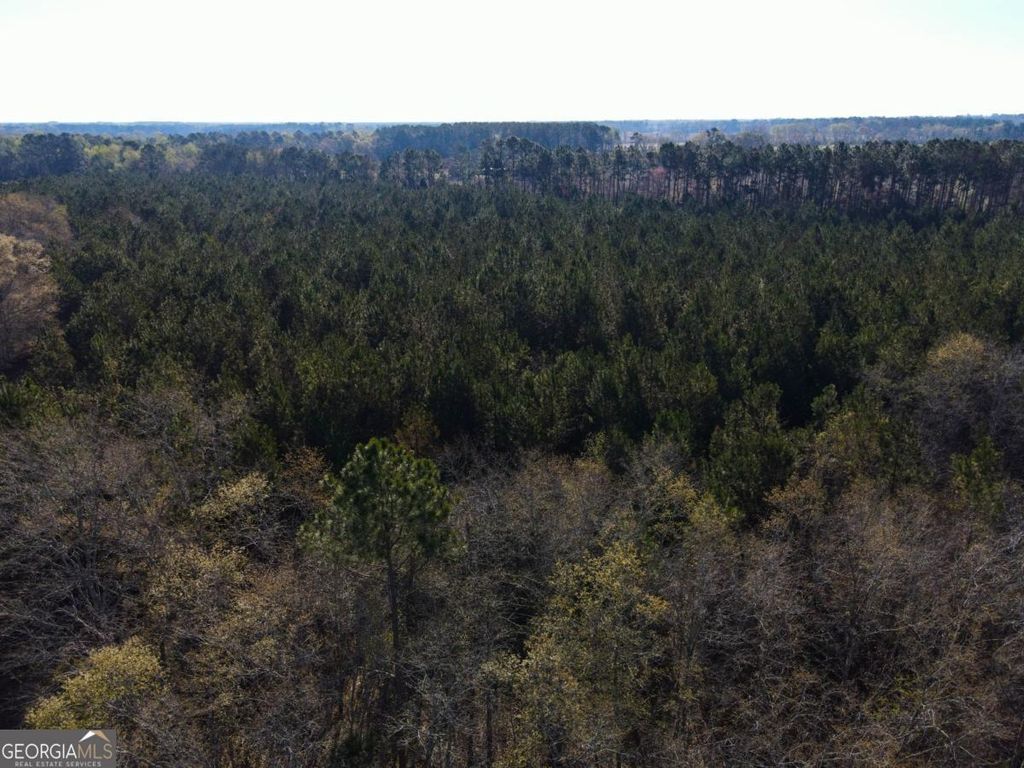 Photo of 0 Clifton Road, Statesboro, GA 30458 (MLS # 10697734)