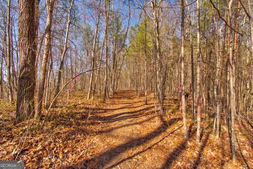 Extremely hard to come by land ready for all your dreams. Can be split! Mobile homes allowed! Perfect farmstead, no restrictions! Chickens, goats, deer, family compound, whatever you want! Large homesite area perfect for a barndo or big farmhouse with room for your shop or pool. No restrictions. Private paradise with a creek on the back. Easy to build pastures on front. In an area surrounded by other farms & land, and backed by large tract privacy- it's a true hidden gem. The back boasts great timber for setting up food plots & deer stands. Large tract opportunities are rarely presenting themselves these days. Capture this one! 10 minutes to 400, 12 minutes to Dahlonega, 15 to Cleveland. Make contact with Broker for information on viewing. Owner financing available. Home & land trades considered also. Make an offer!