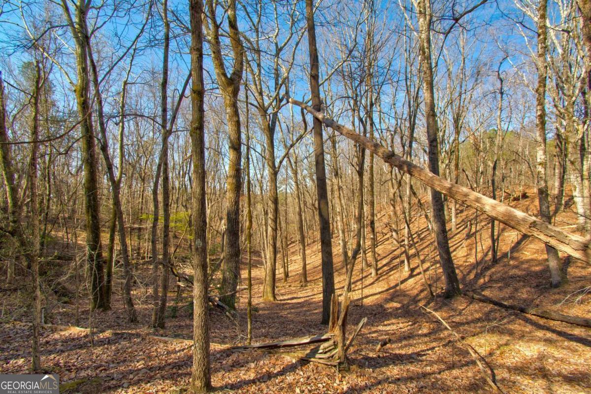 27.68 Chapman Ridge Lane