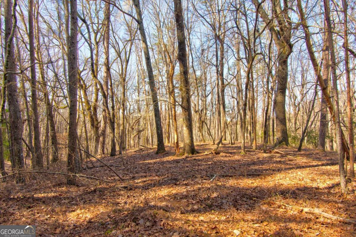 27.68 Chapman Ridge Lane