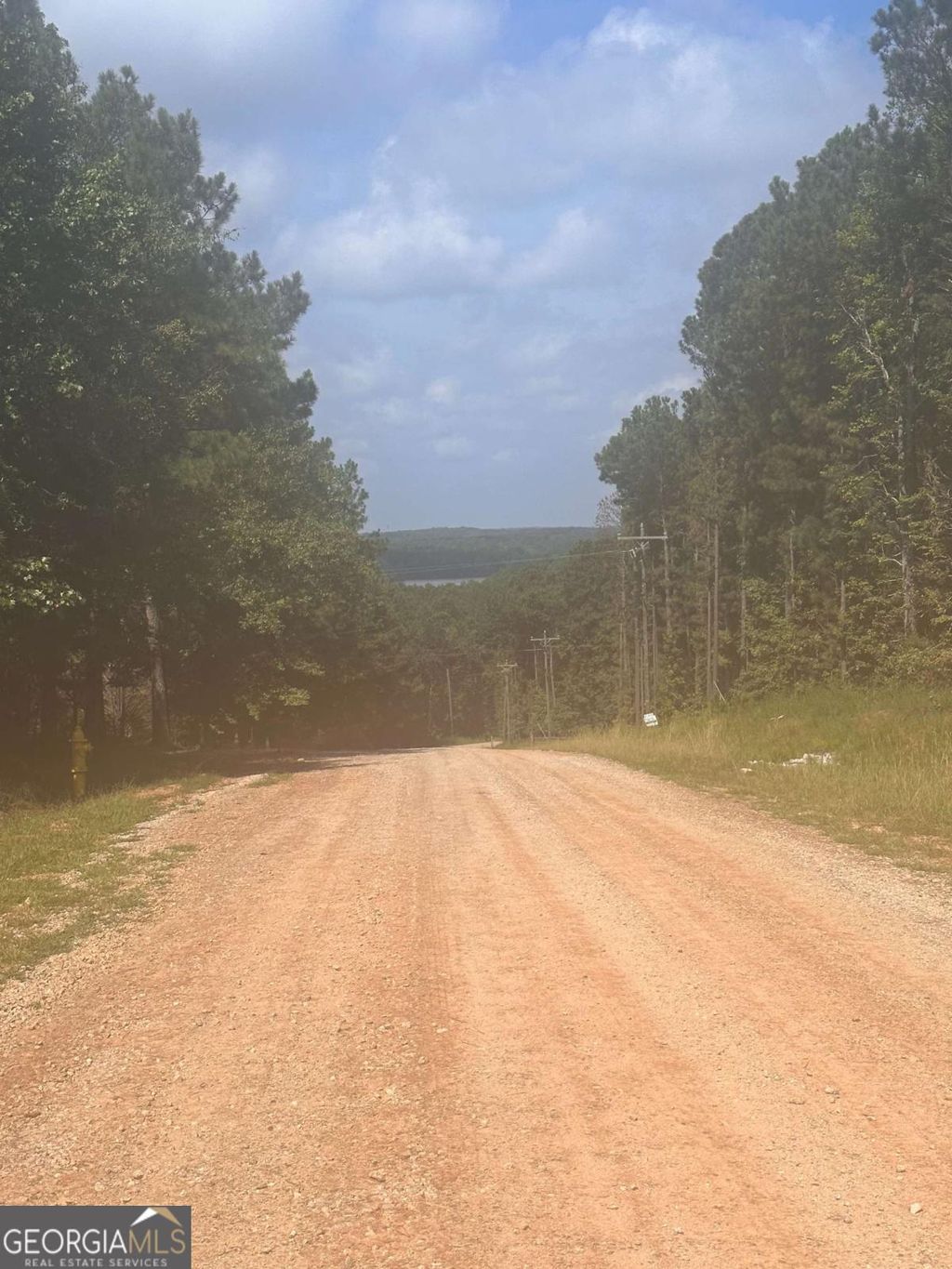 Photo of 131 Ext Johnson Road, Locust Grove, GA 30248 (MLS # 10687579)