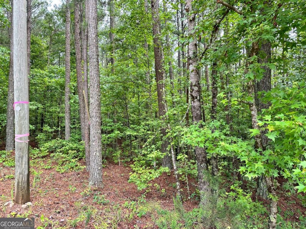 Photo of 131 Ext Johnson Road, Locust Grove, GA 30248 (MLS # 10687579)