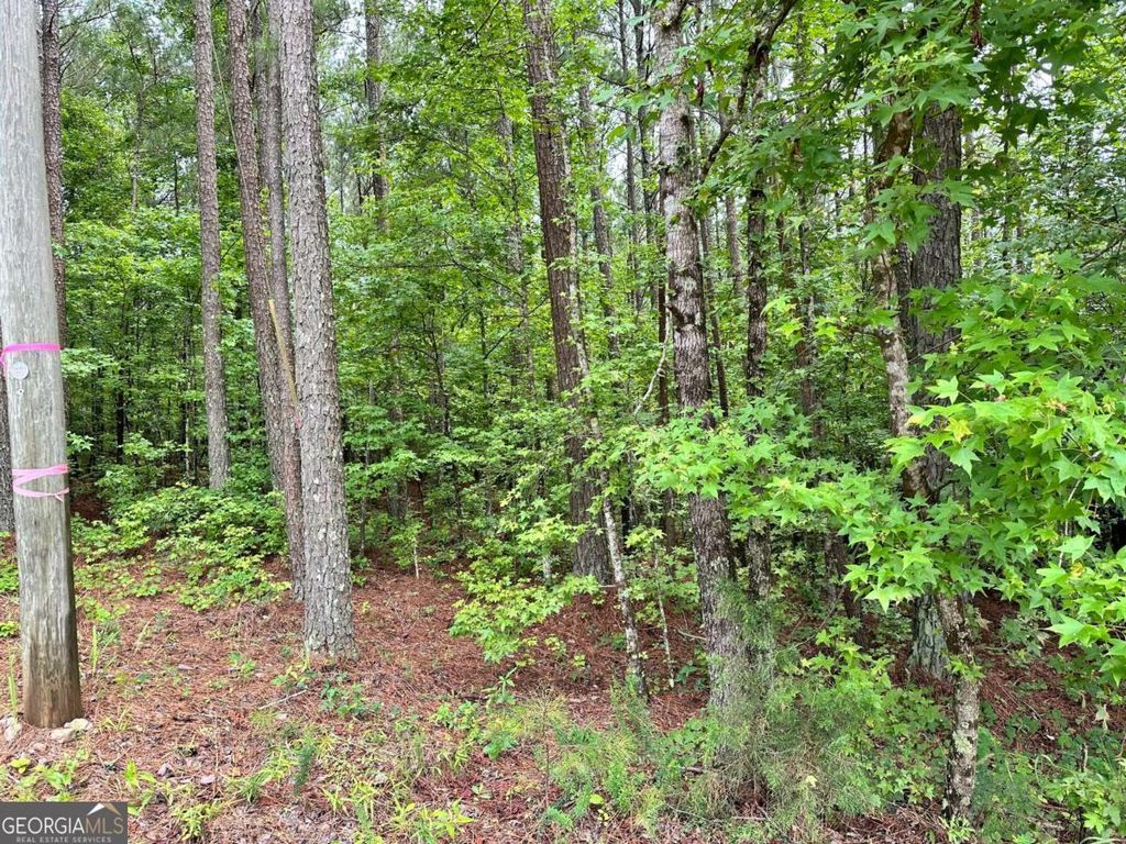 Photo of 131 Ext Johnson Road, Locust Grove, GA 30248 (MLS # 10687579)