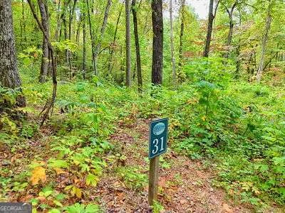 LOT 31 Skyview Drive