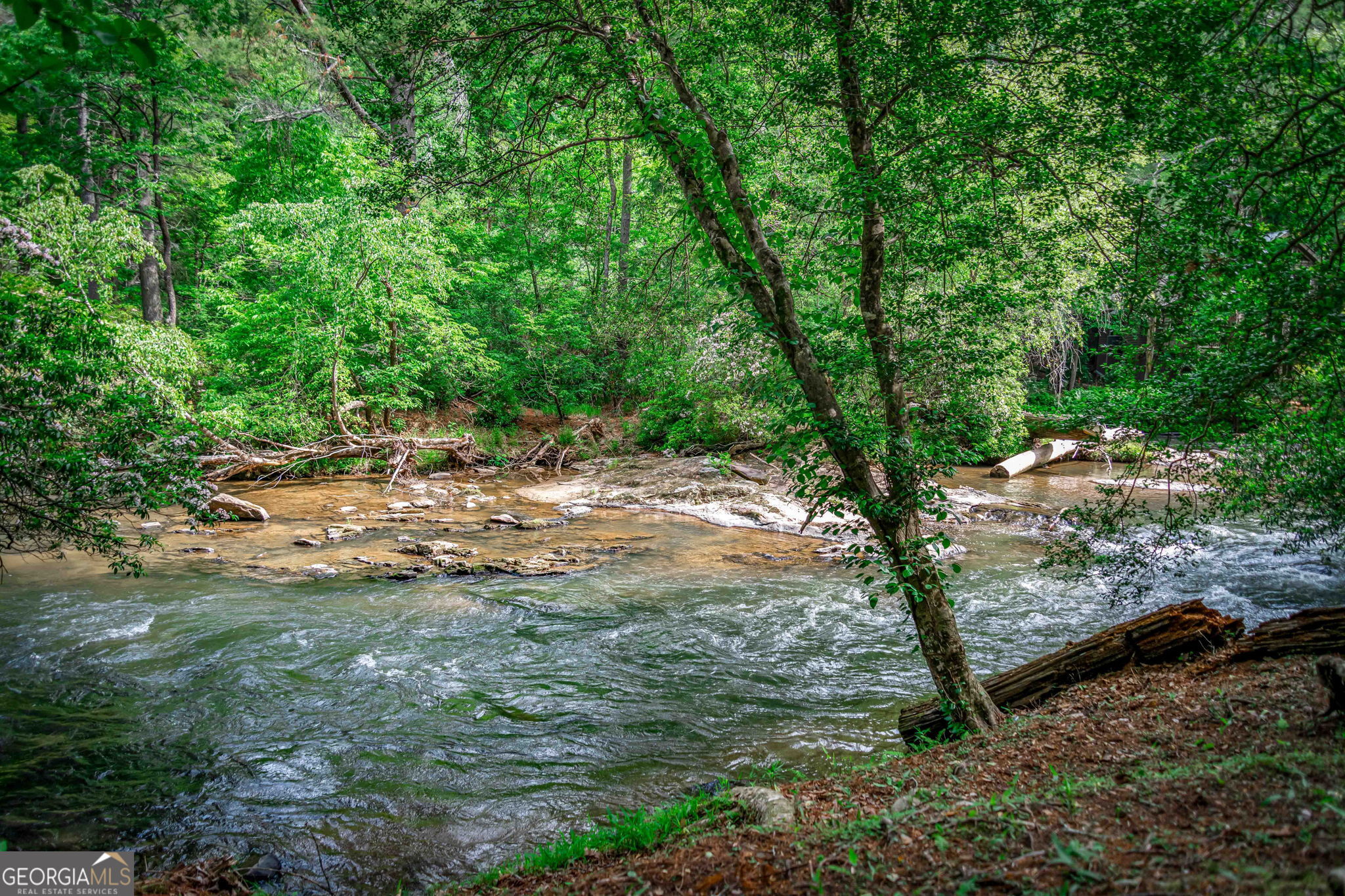 329 Blackberry Falls LN