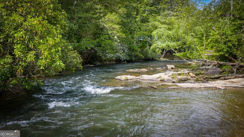 329 Blackberry Falls LN