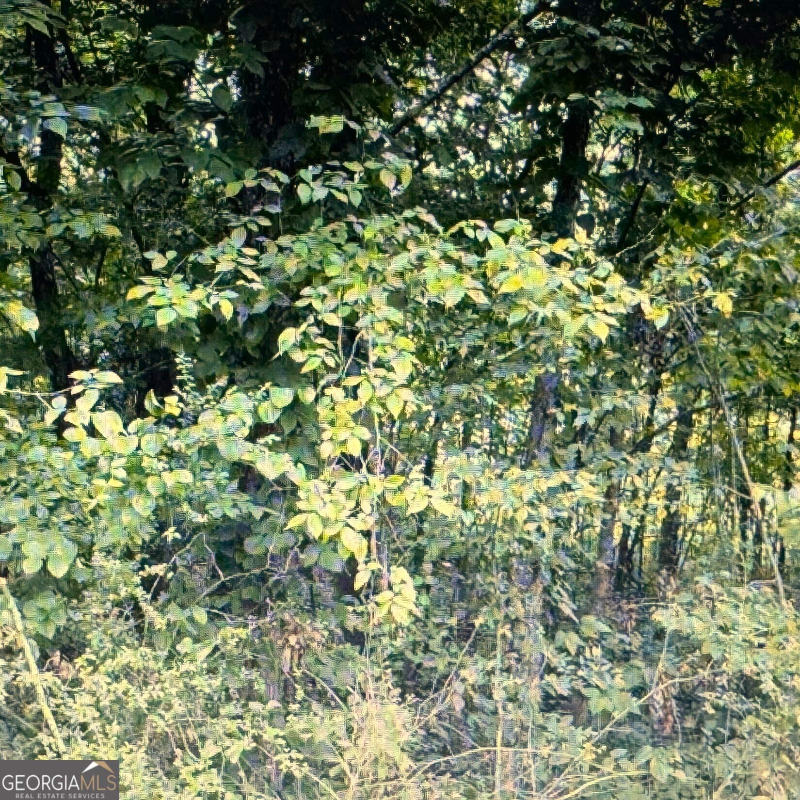 0 Deer Rune Lane