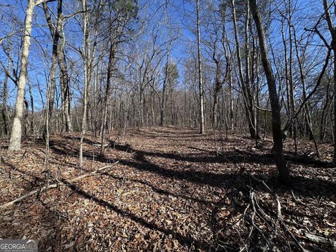 57 St Andrews WAY Ellijay GA 30536