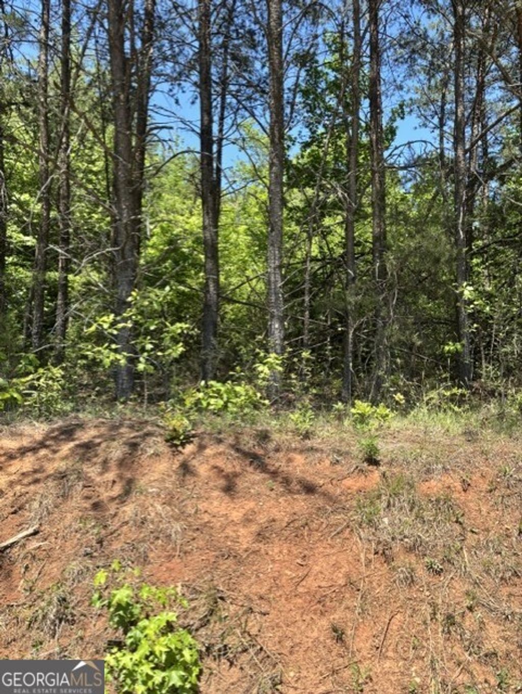 Photo of 766 Keener Road, Toccoa, GA 30577 (MLS # 10764403)