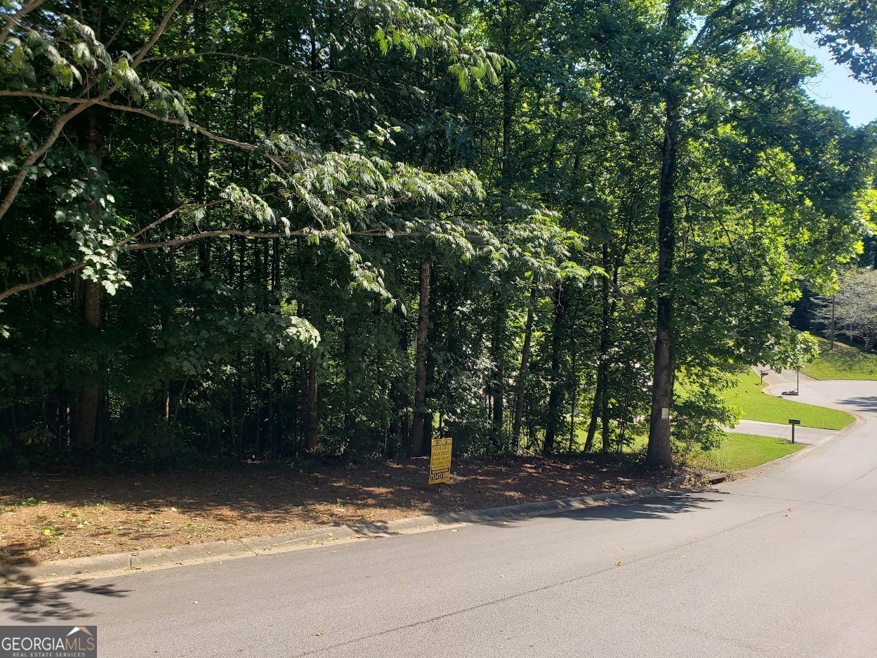 Charming Land Opportunity the potential of this nearly half-acre parcel of land, ideally situated at 373 Farm Brook Lane in Dallas, GA. Spanning 0.46 acres (20,038 square feet), this property offers a prime canvas for your next project or dream home.