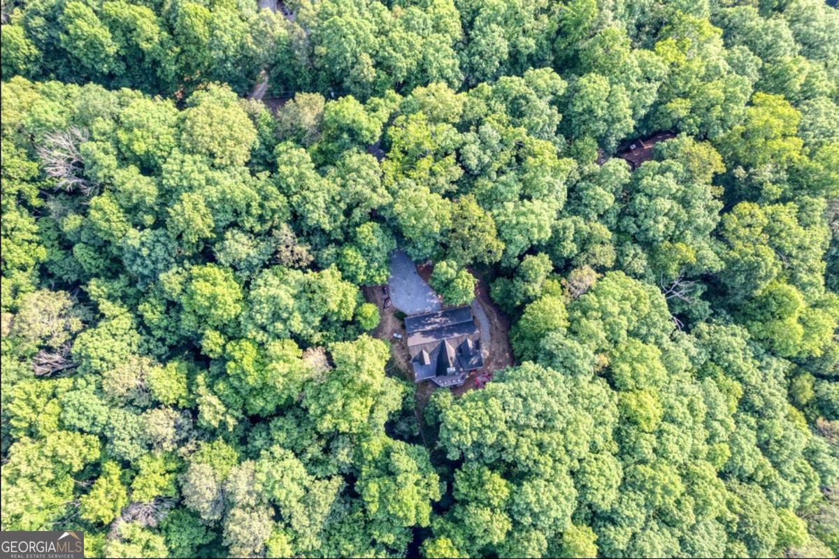 Ellijay, Georgia 30540, United States, 4 Bedrooms Bedrooms, ,3 BathroomsBathrooms,Residential,Active,41244