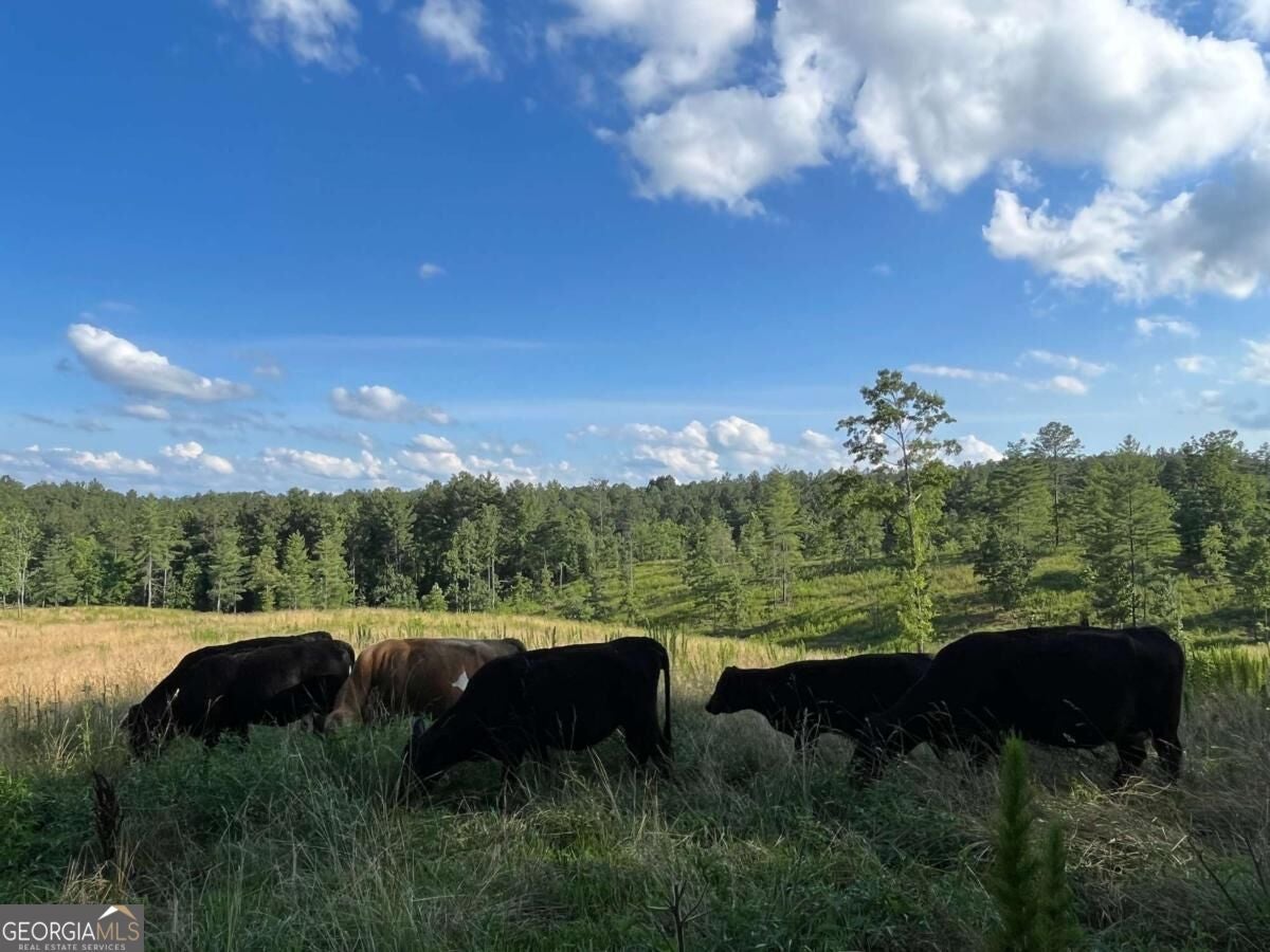 LOT 2 Highway 52 W