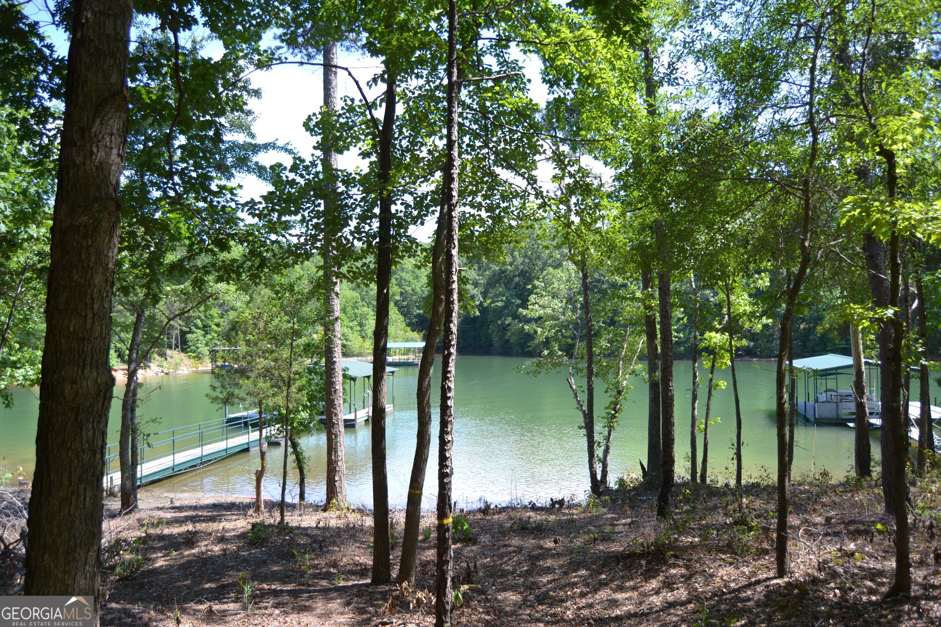 913 Paynes Creek RD LOT 11