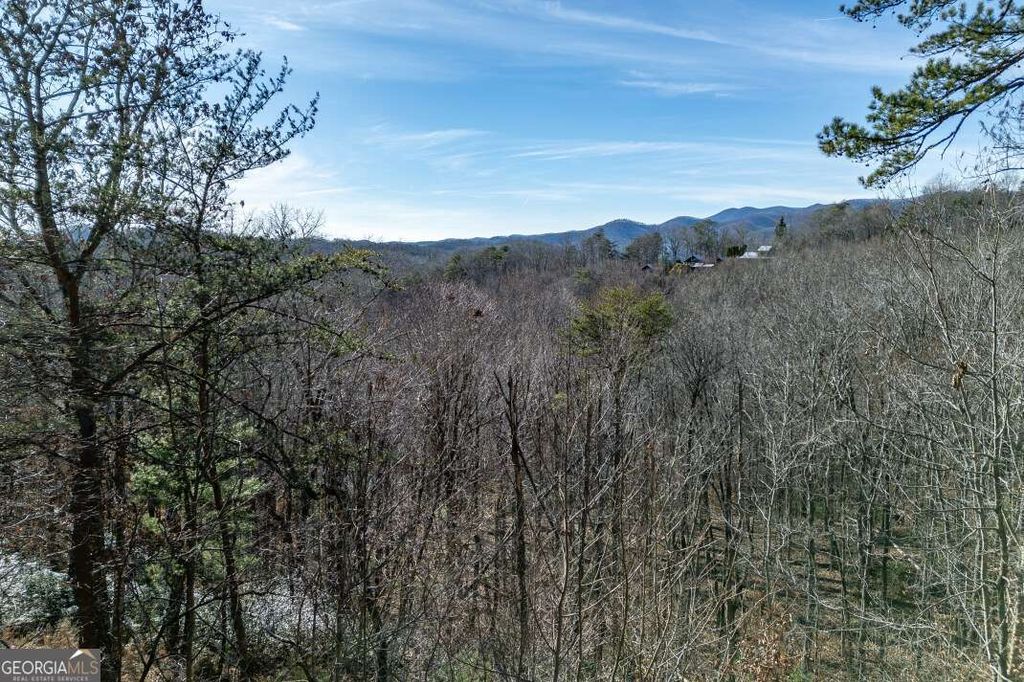 Photo of 100 Smith Hill Road, Cherry Log, GA 30522 (MLS # 10657126)