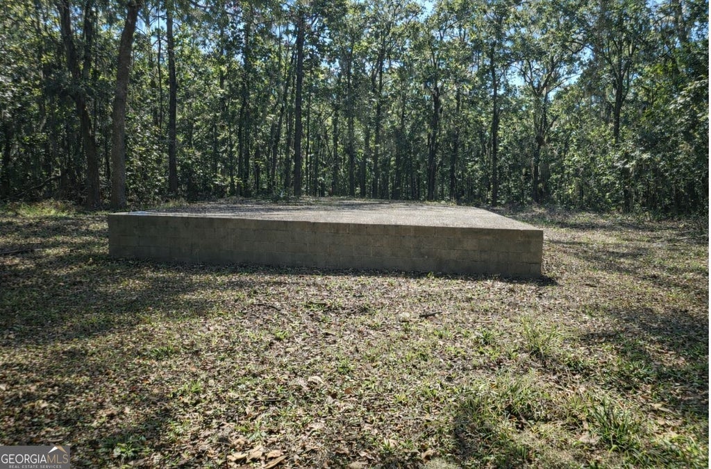 Photo of 103 Coffee Bluff Villa Road, Savannah, GA 31419 (MLS # 10784081)