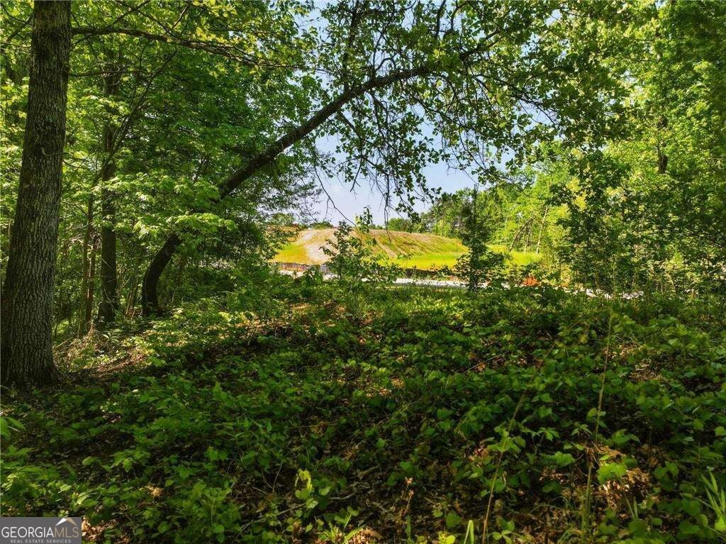 LOT 7 Summit DR