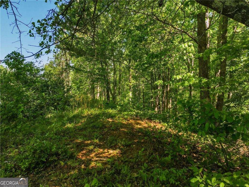 LOT 7 Summit DR
