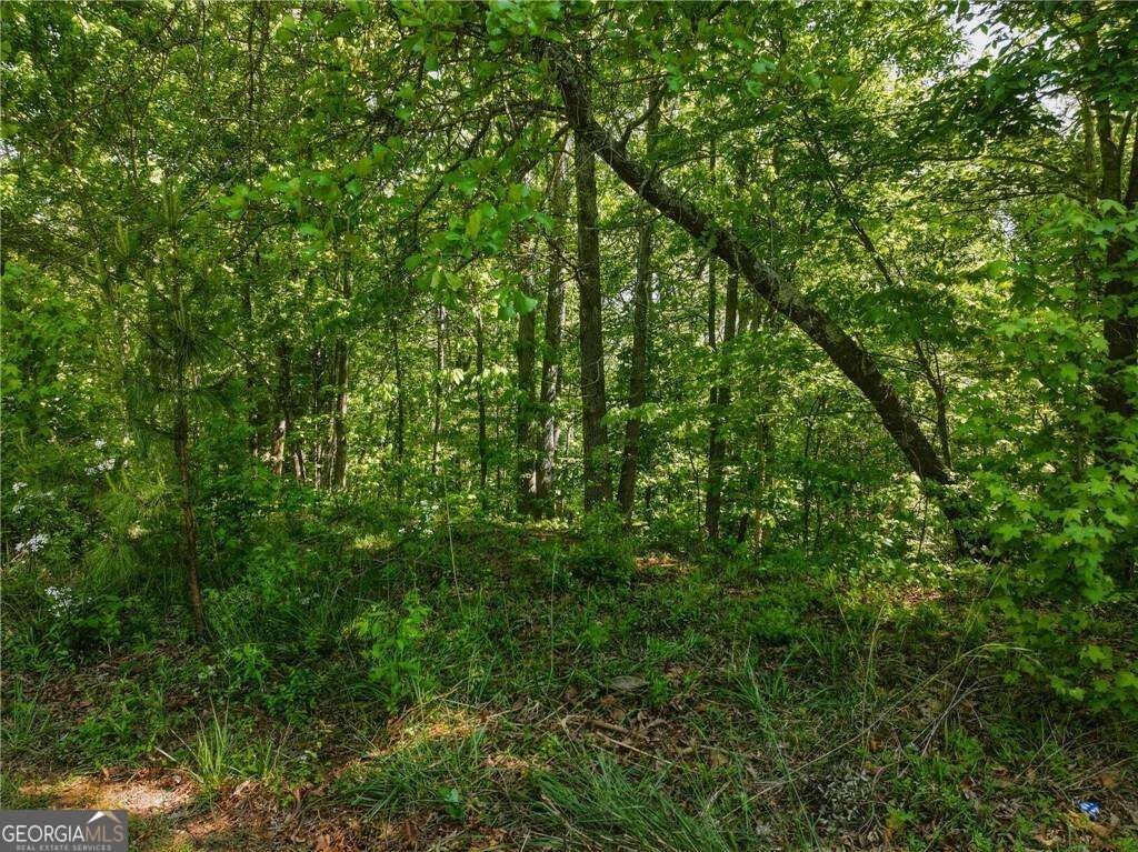 LOT 7 Summit DR