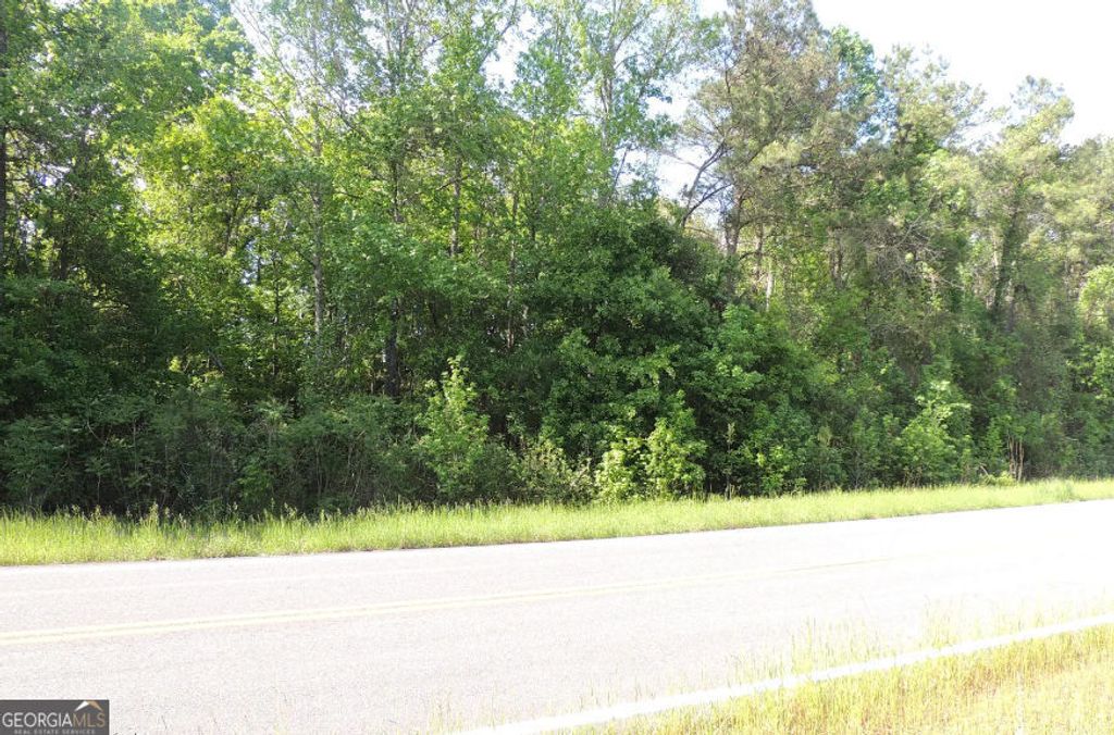 Photo of 0 Causey Rd, Knoxville, GA 31050 (MLS # 10761739)