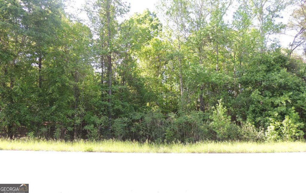Photo of 0 Causey Rd, Knoxville, GA 31050 (MLS # 10761739)