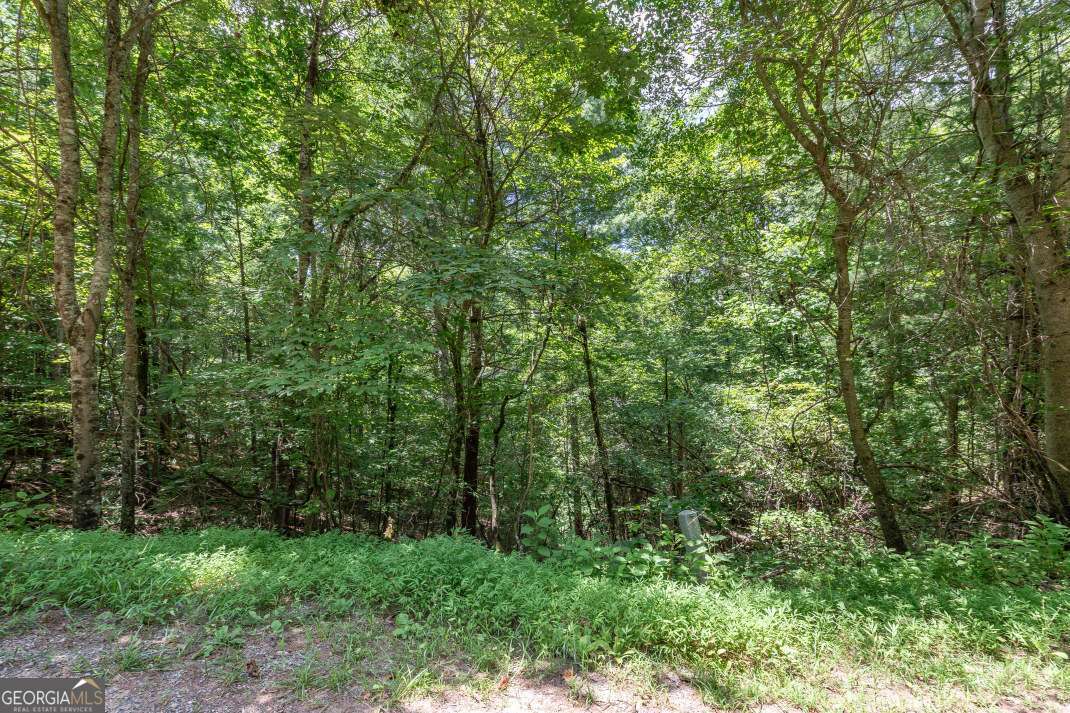 LOT 1687 Shade Tree DR A&BD