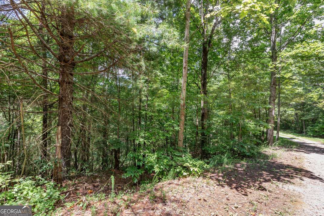 LOT 1687 Shade Tree DR A&BD