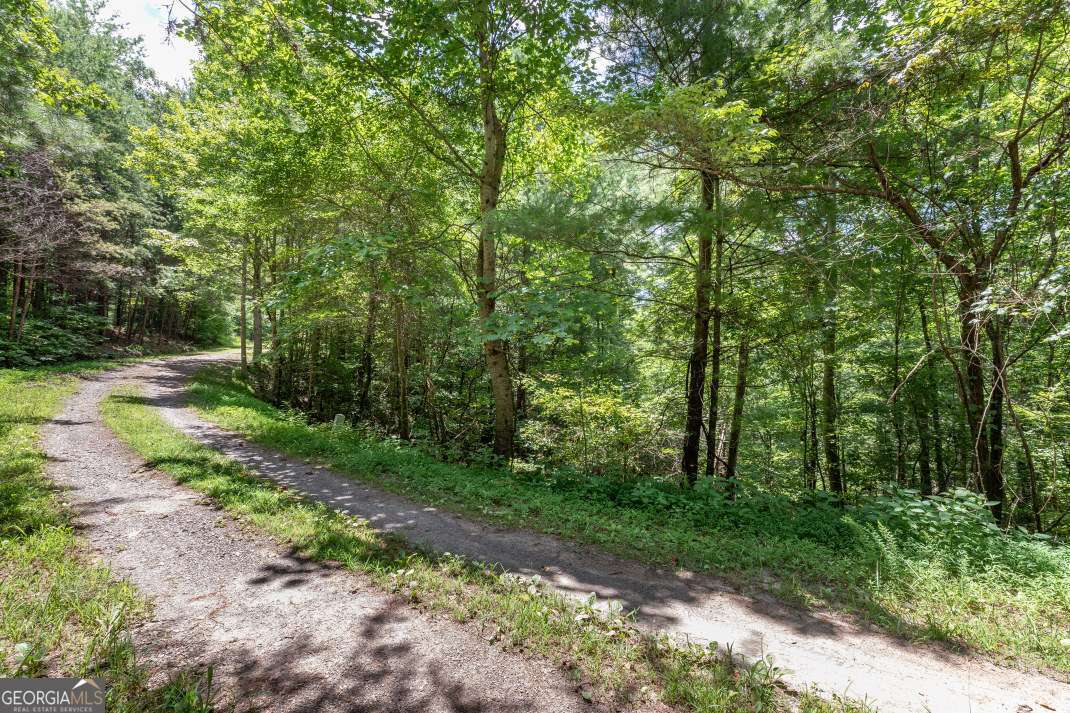 LOT 1687 Shade Tree DR A&BD