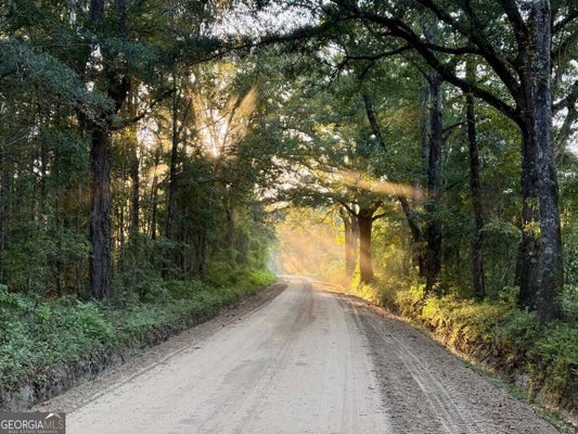 ADDRESS PRIVATE, PORTAL, GA  - Image a9a44177ffef34aa314c804cd6b06d42/778023541