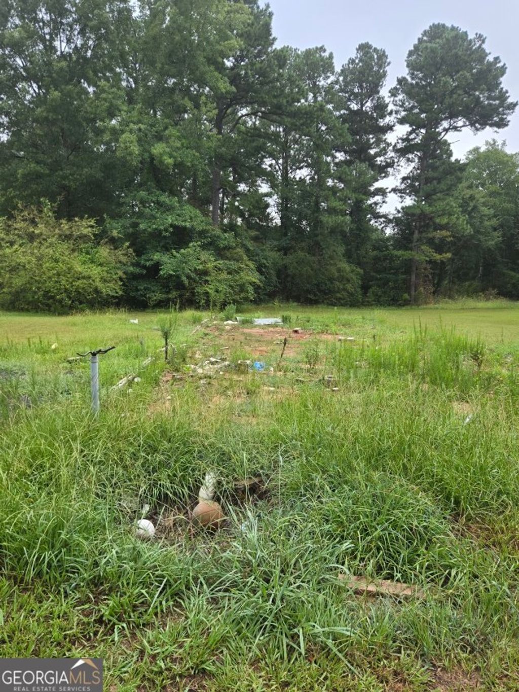 Photo of 100 Hunters Ridge Drive, Monticello, GA 31064 (MLS # 10656927)