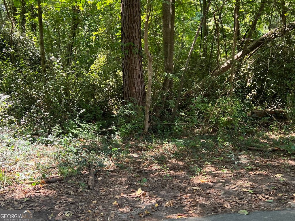 Photo of 0 Tye, Stockbridge, GA 30281 (MLS # 10692763)