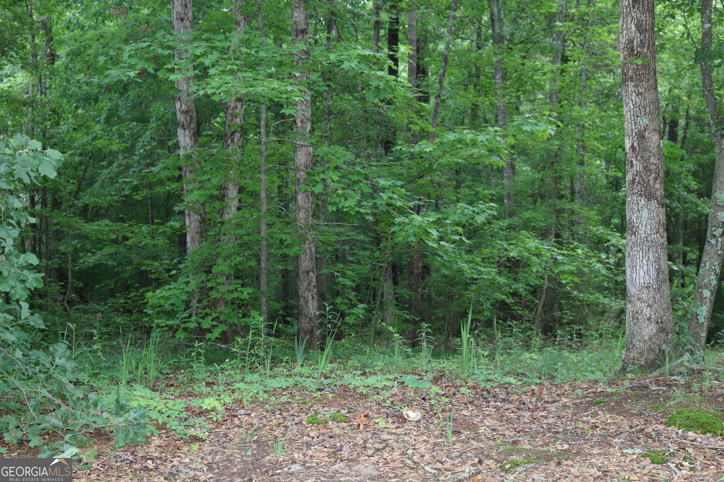 Established subdivision 1.18 acre lot, lot slopes from the road back to the bordering creek. Great place to build your forever home. Lot has an existing septic tank and drain field, partial foundation.