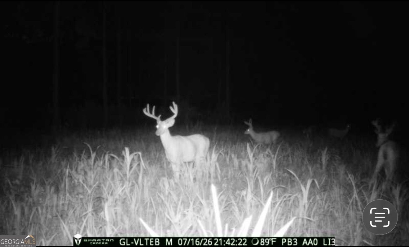 0 Poplar Springs RD