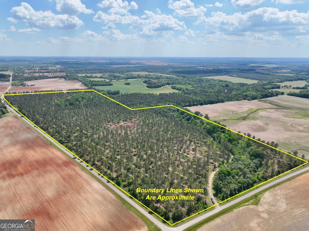 Photo of 0 Poplar Springs Road, Byromville, GA 31007 (MLS # 10817710)