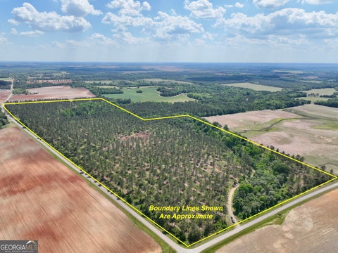 Photo of 0 Poplar Springs Road, Byromville, GA 31007 (MLS # 10817710)