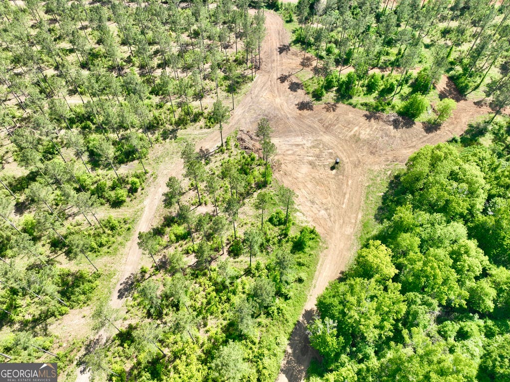 Photo of 0 Poplar Springs Road, Byromville, GA 31007 (MLS # 10817710)