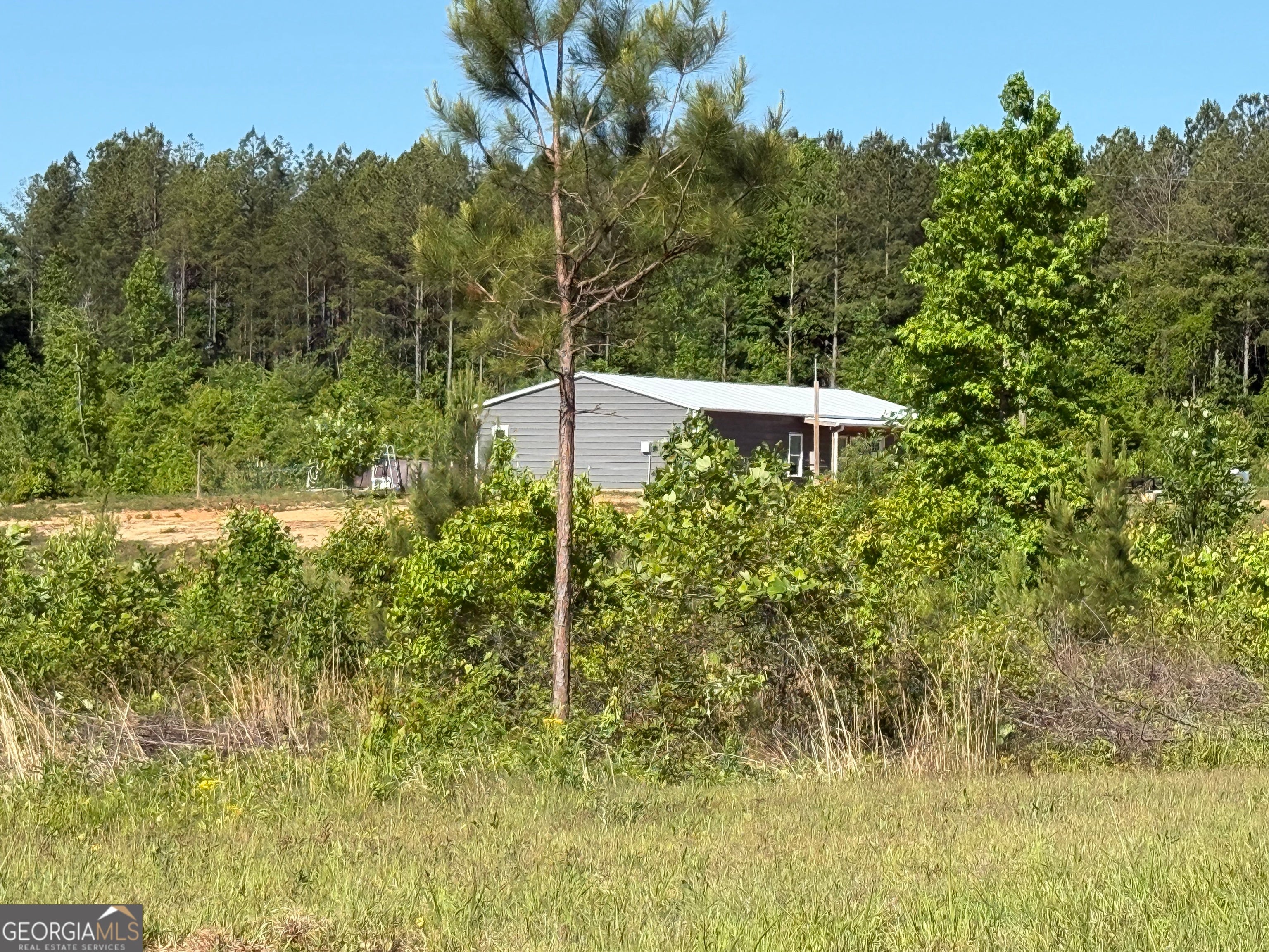 1185 County Road 402