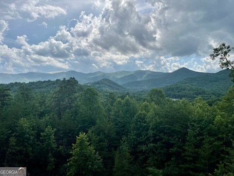 146 Mill Ridge RD