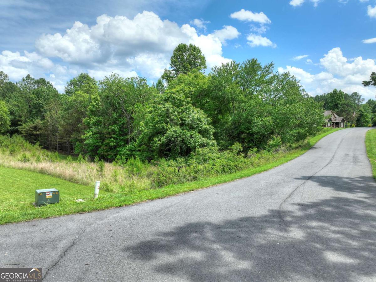 Discover the perfect setting for your future mountain getaway or forever home in this beautifully maintained, vacant lot located in one of Blairsville's most sought-after communities. This gentle laying lot offers an ideal building site-easy to access and not steep-providing the flexibility and comfort you desire. Enjoy paved roads and underground utilities, ensuring a clean and polished look throughout the neighborhood. The community itself is a standout: meticulously cared for and welcoming, with an inviting lakeside pavilion that features an outdoor fireplace and picnic tables, perfect for gatherings with family and friends. Bonus Opportunity: The adjacent 1.11-acre lot is also available for purchase at $60,000, offering you the rare option to expand your property for enhanced privacy, a larger estate, or a family compound. Fantastic Location: Minutes to Lake Nottely Close to downtown Blairsville and local shops & restaurants Quick access to Blue Ridge, GA - shopping, dining, and mountain adventures Short drive to Harrah's Casino in Murphy, NC Surrounded by hiking, waterfalls, and scenic mountain drives. This is a rare opportunity to secure your own piece of paradise in a peaceful setting, with the flexibility to expand and the convenience of a central North Georgia location. Whether you purchase one lot or both, you'll love the community's charm, amenities, and proximity to everything this beautiful region has to offer. Bring your builder-schedule your tour today!
