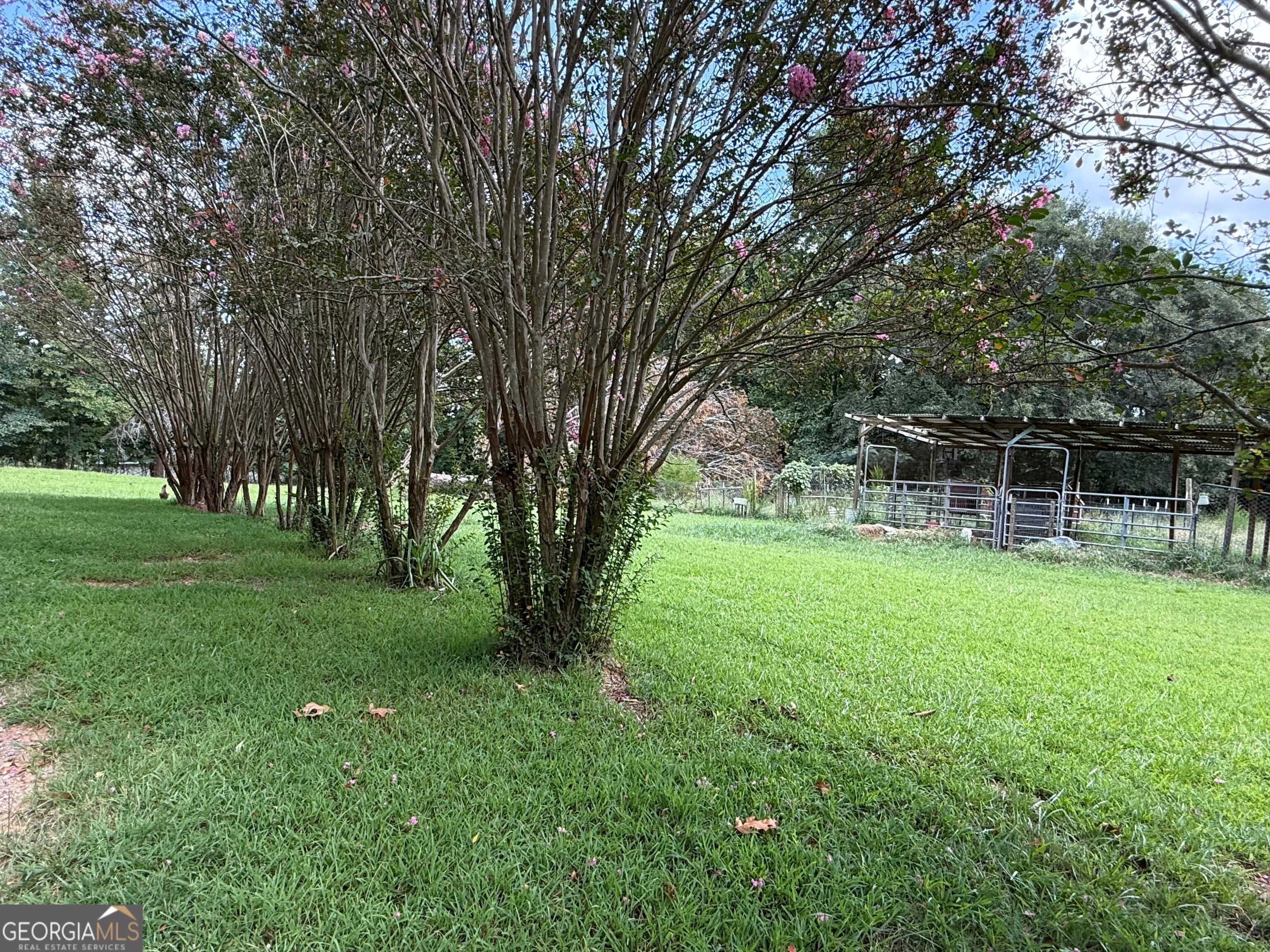 110 County Road 481