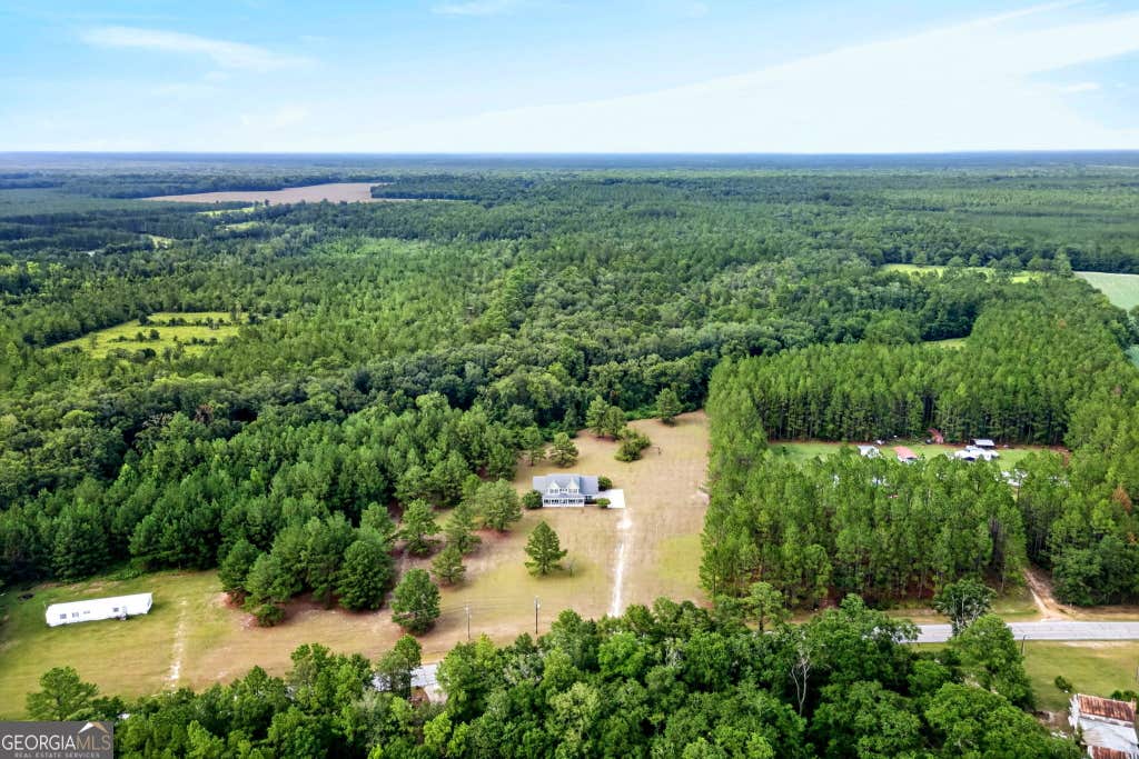 Photo of 4016 Clyo Kildare Road, Clyo, GA 31303 (MLS # 10822000)