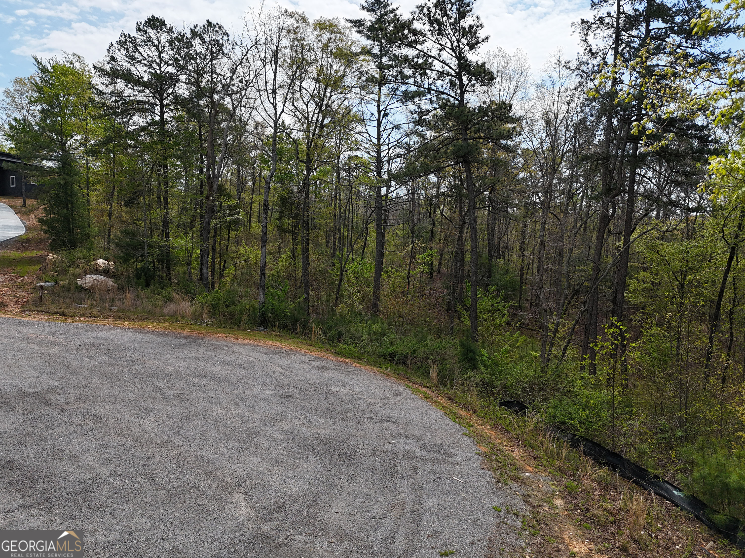 LT 129 Red Hawk LN